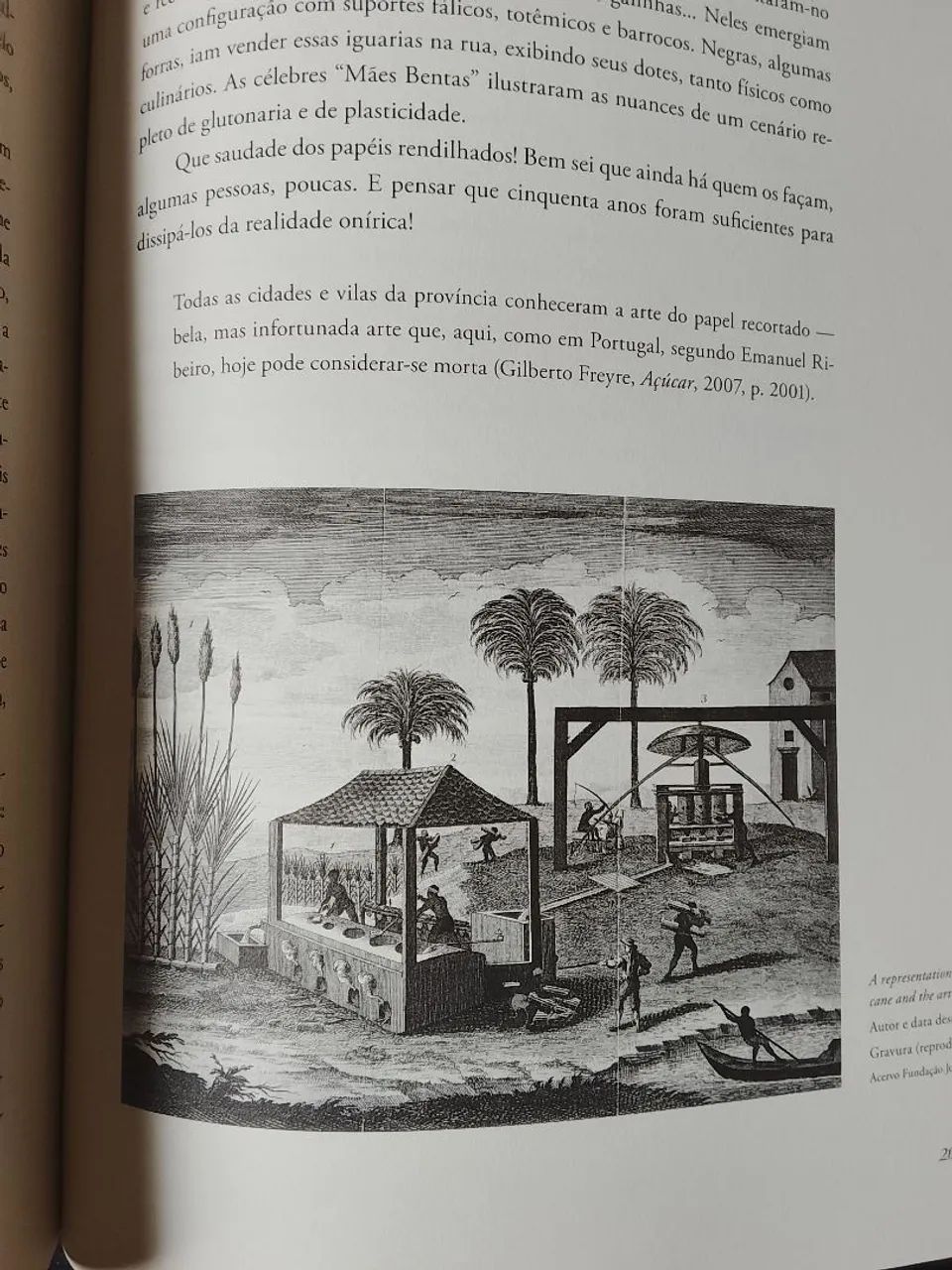 A saga do açúcar  - Foto 2