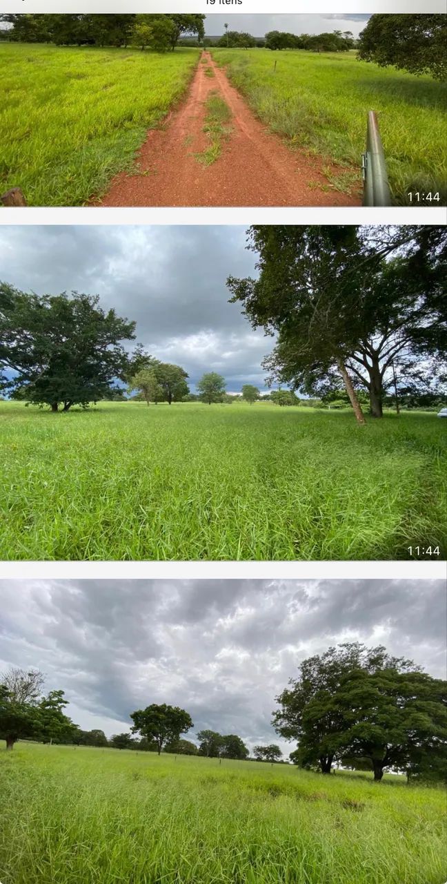 Fazenda próximo Uberlândia 93 hectares  - Foto 2
