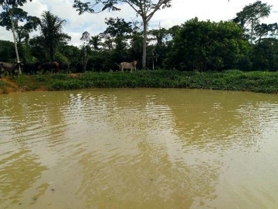 Fazenda 250hectares (pra vender urgente) - Foto 16