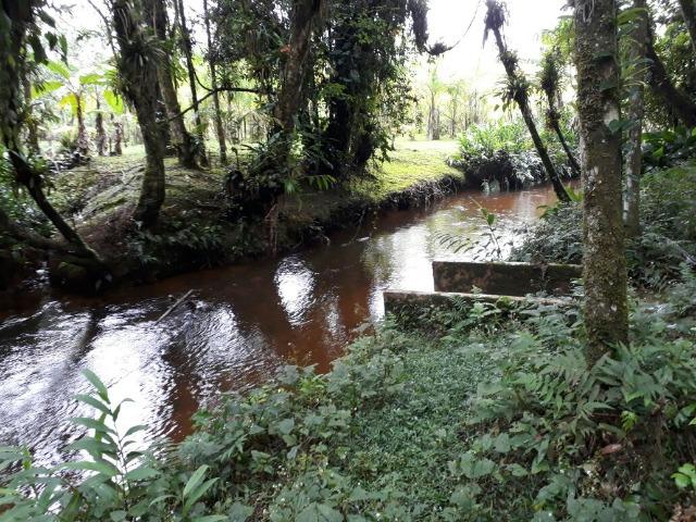 Chácara - Ponte Alta - Morretes - Foto 19