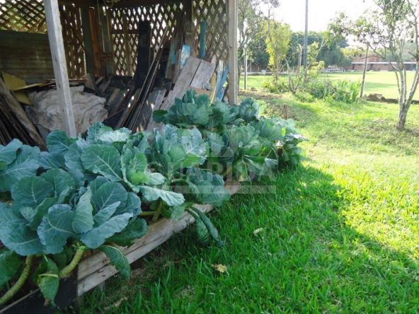 Chácara à venda em Lomba grande, Novo hamburgo cod:64492 - Foto 5
