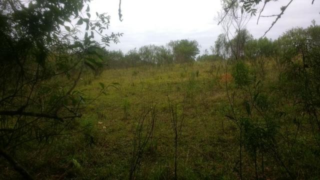 Ref. 1116 - Imperdível chácara de 22.385 m² no Poço Grande - Foto 8