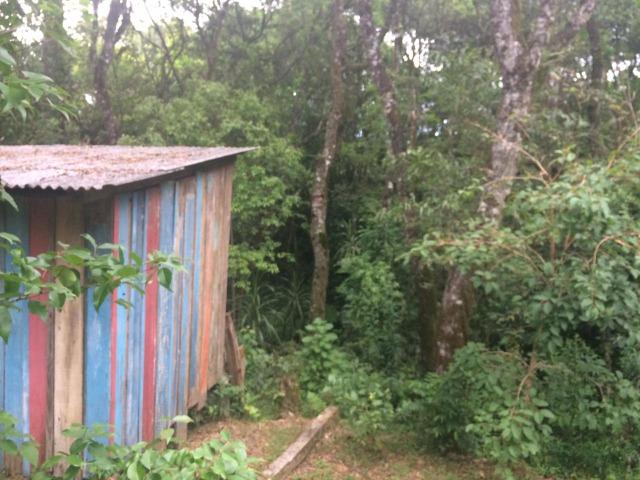 REF ? 2404 - Chácara com 2,400 m² localizada no capinzal com 3 nascente - Foto 12