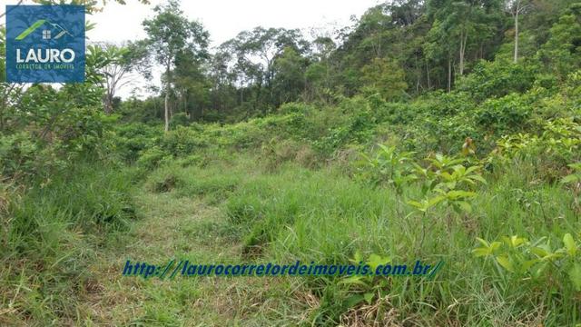 Terra com 8 alqueires a 13 km de T. Otoni - Foto 10