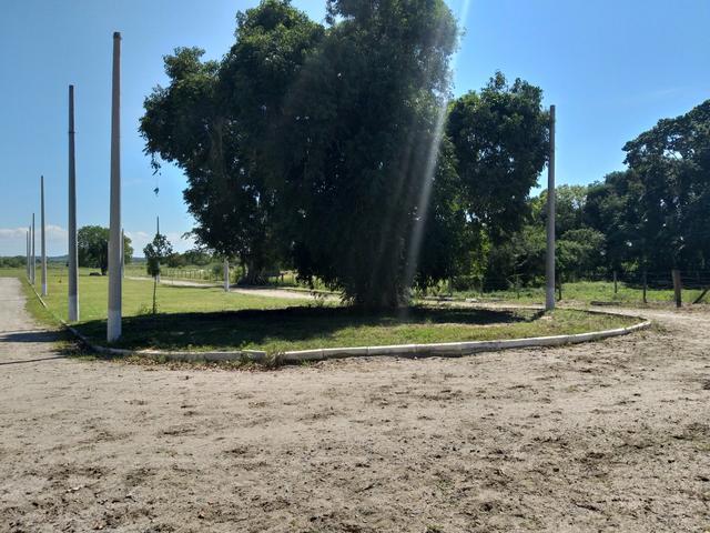G Cód 107 Lotes com RGI!!! - Foto 5