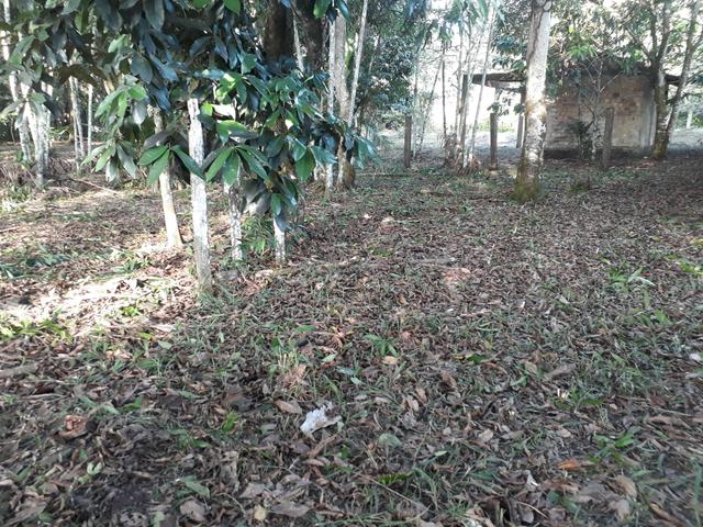 Terreno Benevides