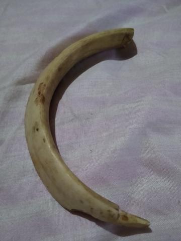 Antiga presa