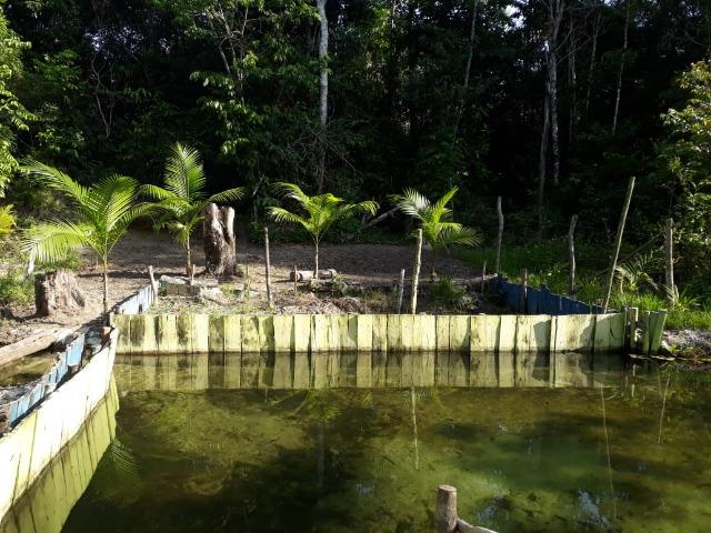 Terreno com Igarapé - Ramal do 30 Curuçá - Foto 8
