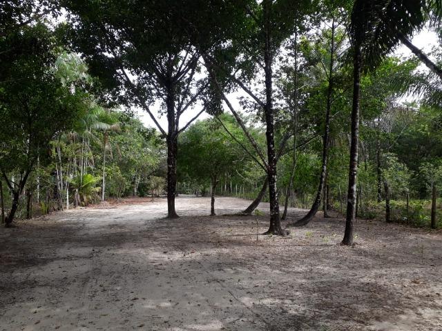 Terreno com Igarapé - Ramal do 30 Curuçá - Foto 15