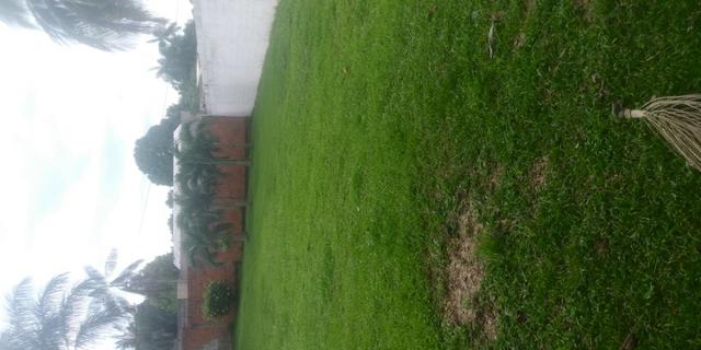 Terreno bairro chico mendes murado lado direito frente e fundo - Foto 5