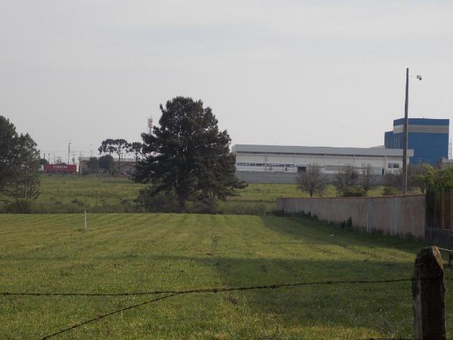 Vendo áreas lindas Costeira São José dos Pinhais Direto proprietario - Foto 14