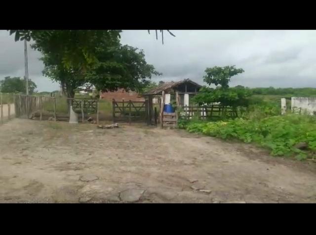 Chácara - Foto 3