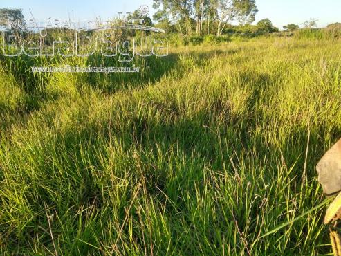 Fazenda Pecuaria 322 Hectares Plana - Foto 11
