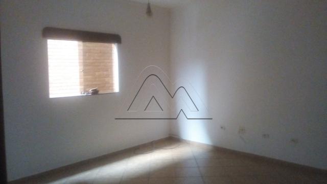 Apartamento - Foto 3
