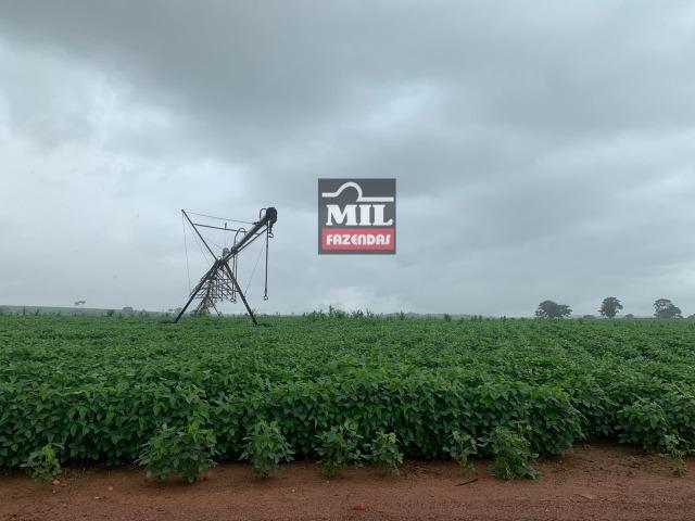 Área irrigada ( pivo central ) Fazenda 68 alqueires ( 333 hectares ) Morrinhos-GO - Foto 10