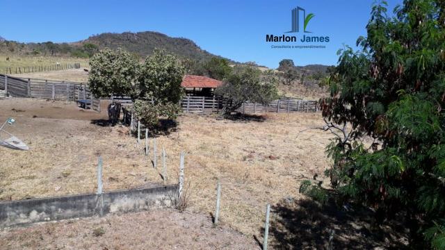 Fazenda em Cocalzinho-G! - Foto 13