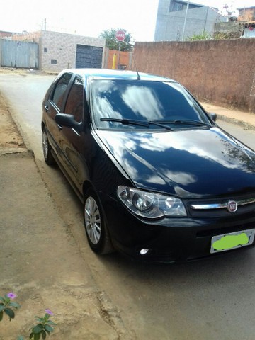 PALIO CELEBRATION COMPLETO