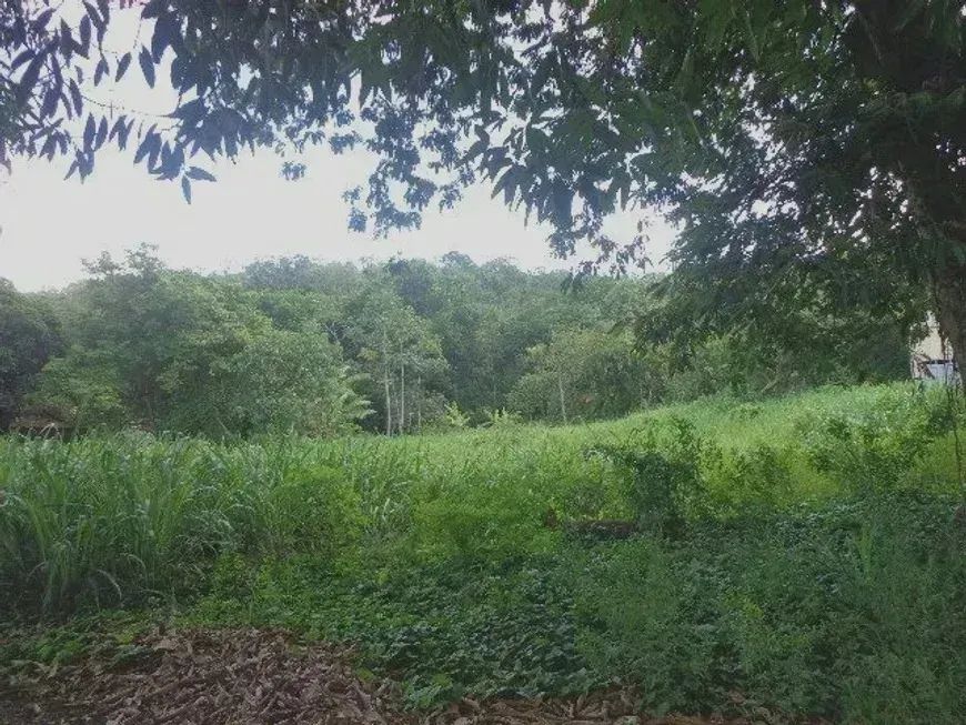 Lote/Terreno à Venda, 40000 m² por R$ 2.000.000 - Foto 6