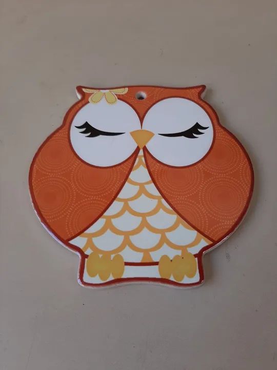 Decoração de Coruja