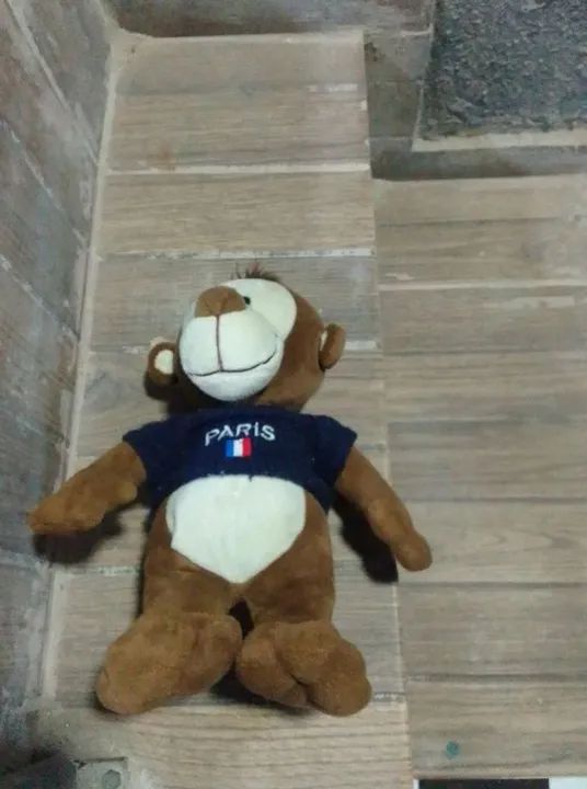 Macaco de Pelúcia - Paris - Foto 2