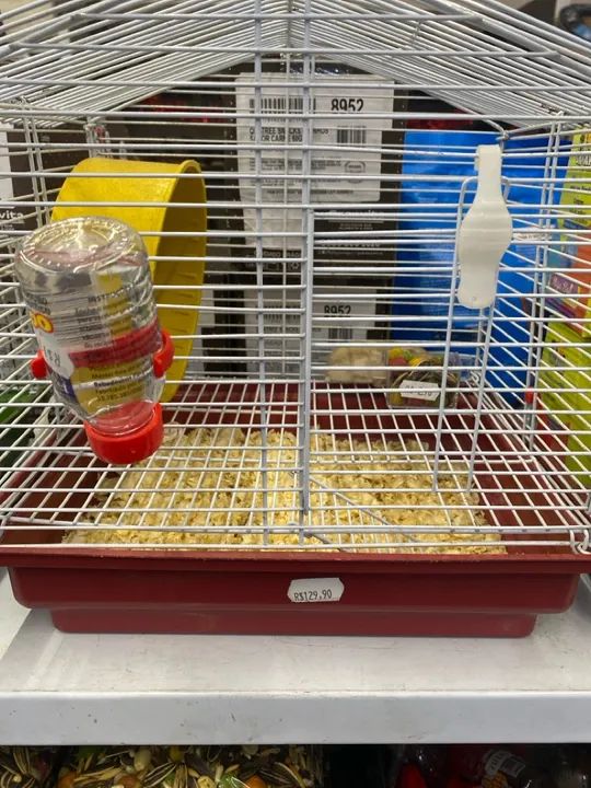 Gaiola com hamster e com acessórios