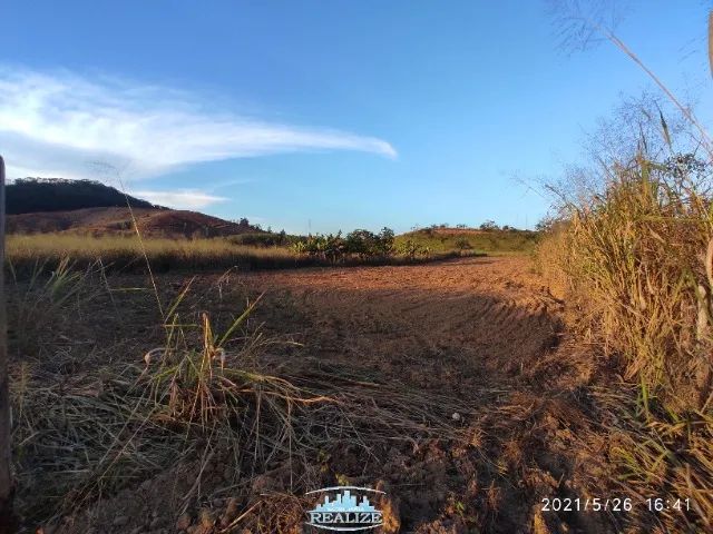 Cod. 4161 - Vende chácara Revés do Belém, 5000m², plana - Foto 2