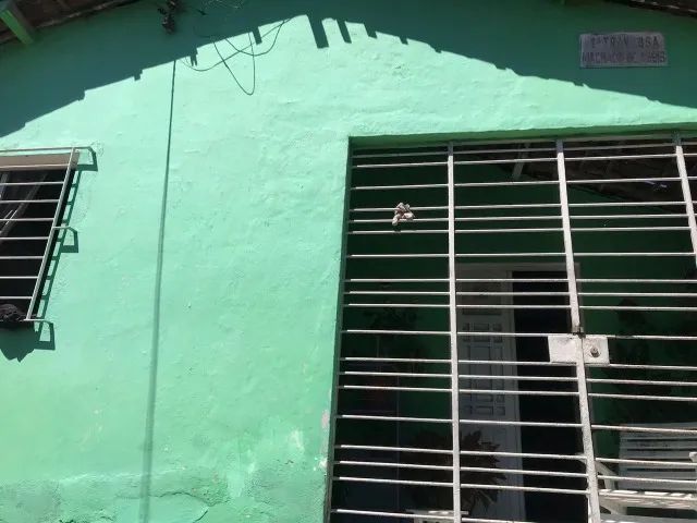 Foto - São Lourenço da Mata - Capibaribe