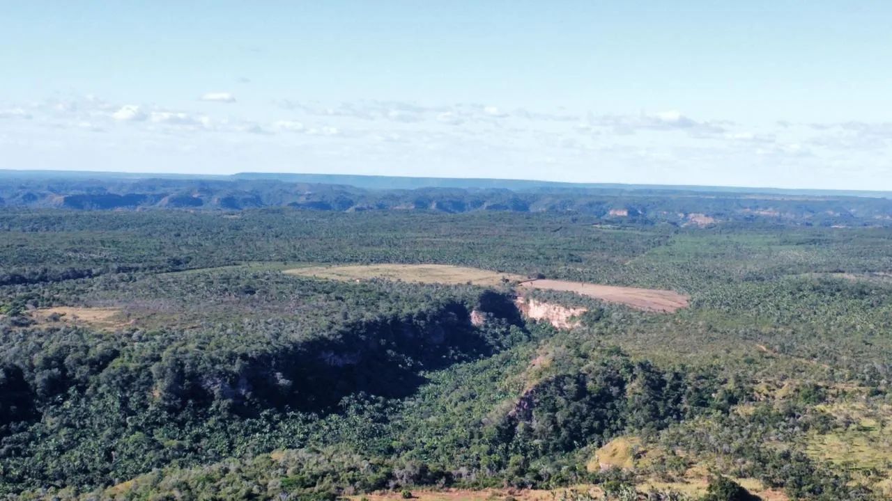 Oportunidade! fazenda em São Pedro do Piauí com 1.070 hectares para lavoura,  boa de solo. - Foto 4