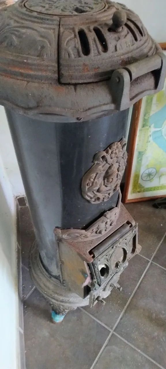 Salamandra ferro Marumby - Foto 4