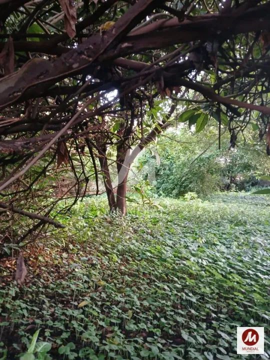 Terreno (terreno normal) - Foto 3