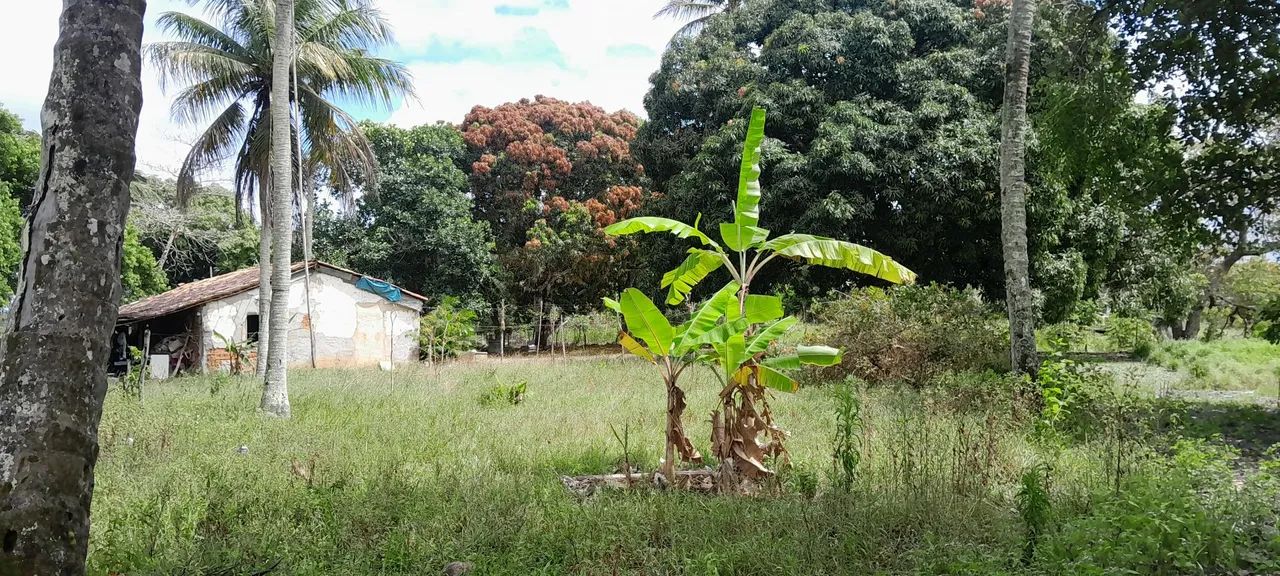 Sitio 3 taferas itaporanga  - Foto 3