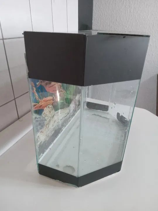 Vendo Aquario  - Foto 3