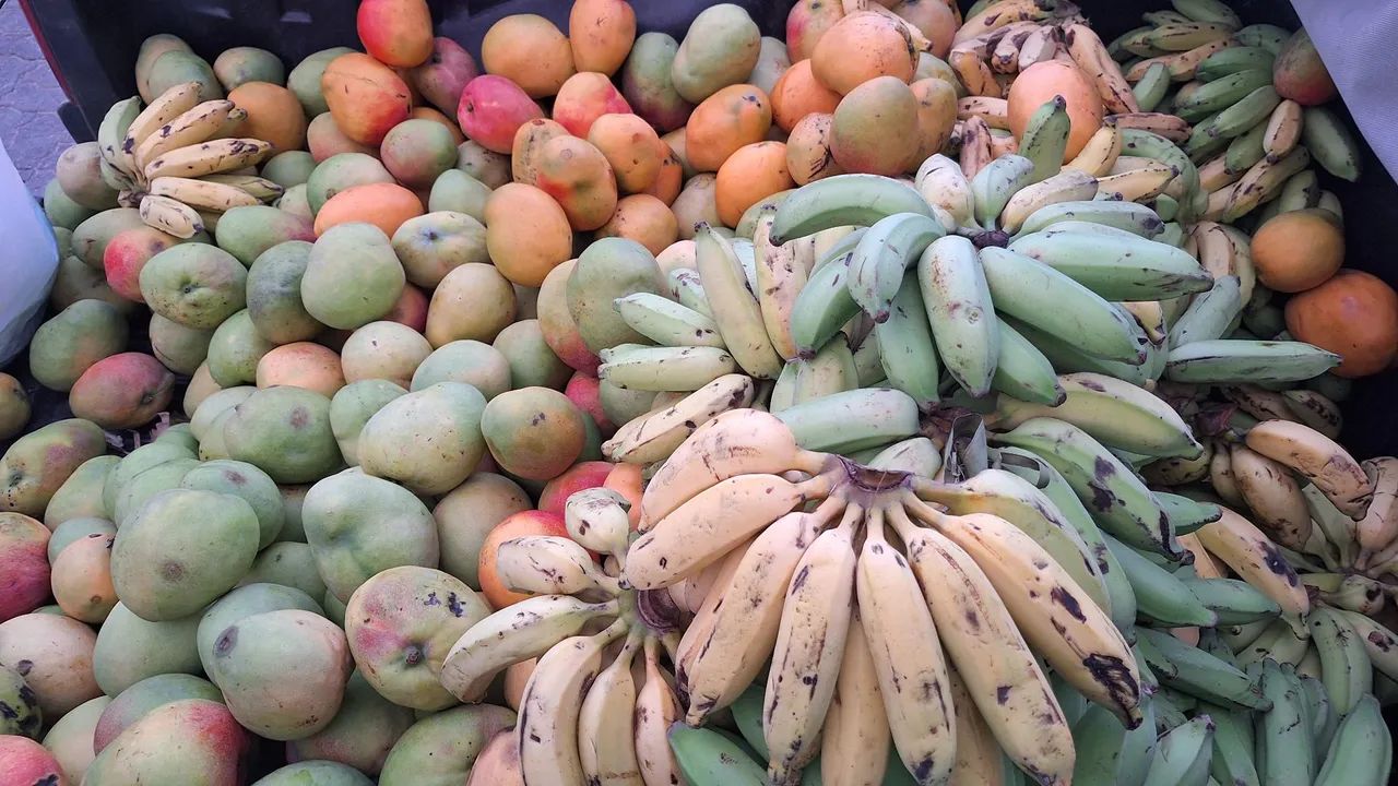 Frutas direto da  Serra De Araújo. - Foto 2
