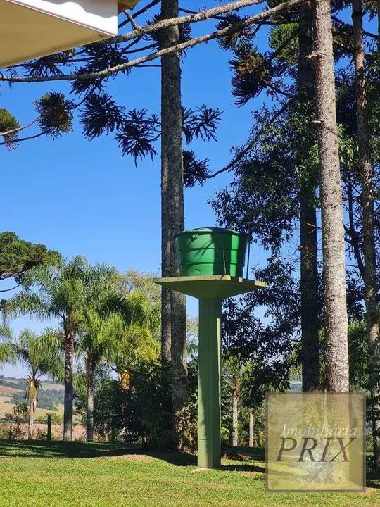 Chácara com 2 dormitórios à venda, 31627 m² por R$ 990.000,00 - Zona Rural - Palmeira/PR - Foto 4