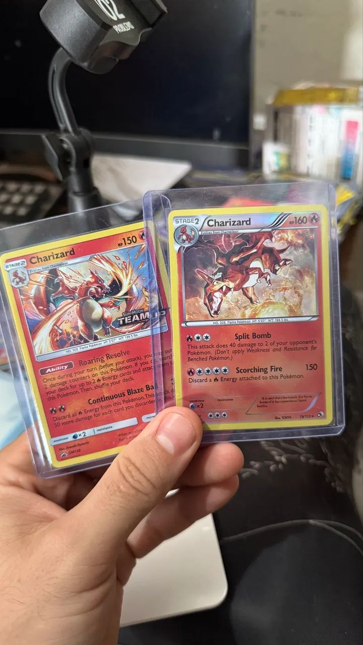 Dois Charizards 