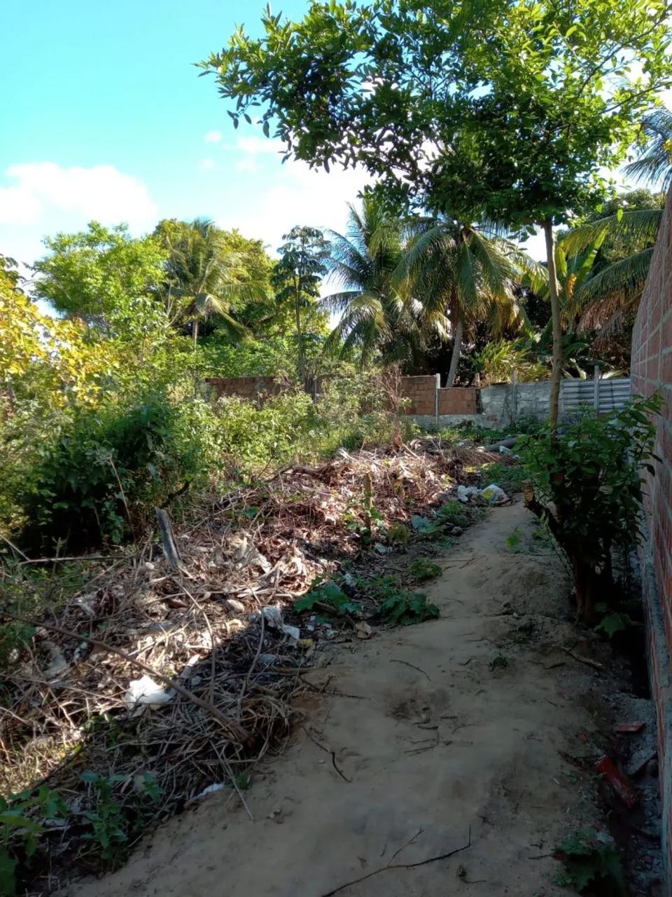 Terreno em Itamaracá  - Foto 2