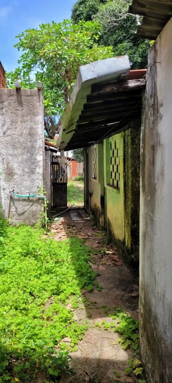 Terreno à venda em Coruripe. - Foto 5
