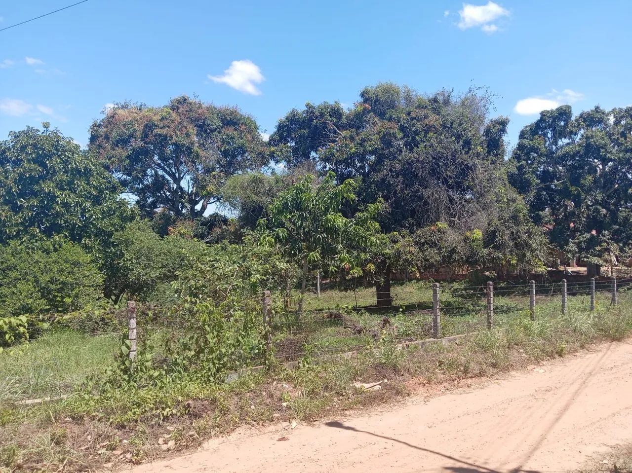 VENDE-SE SÍTIO 1 tarefa  - Foto 3