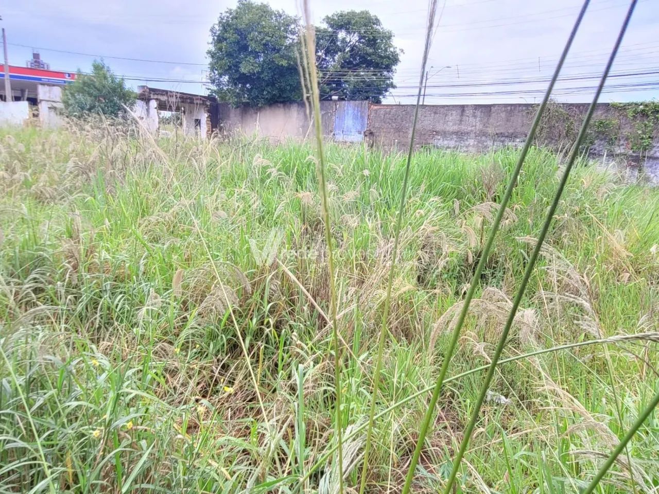 terreno - Jardim Chapadão - Campinas - Foto 5