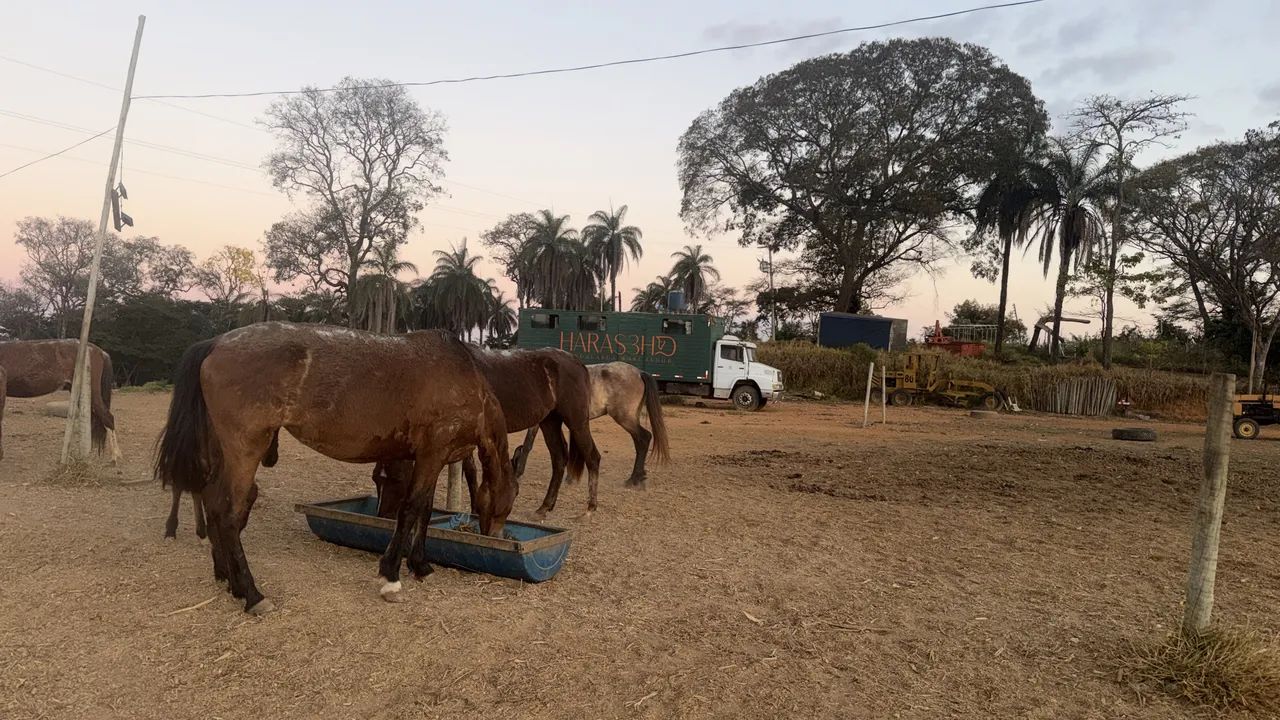 Trabalhador rural  - Foto 4
