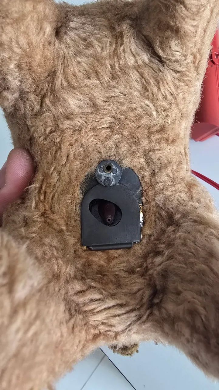 Pipi o cachorro da estrela de 70 - Foto 3
