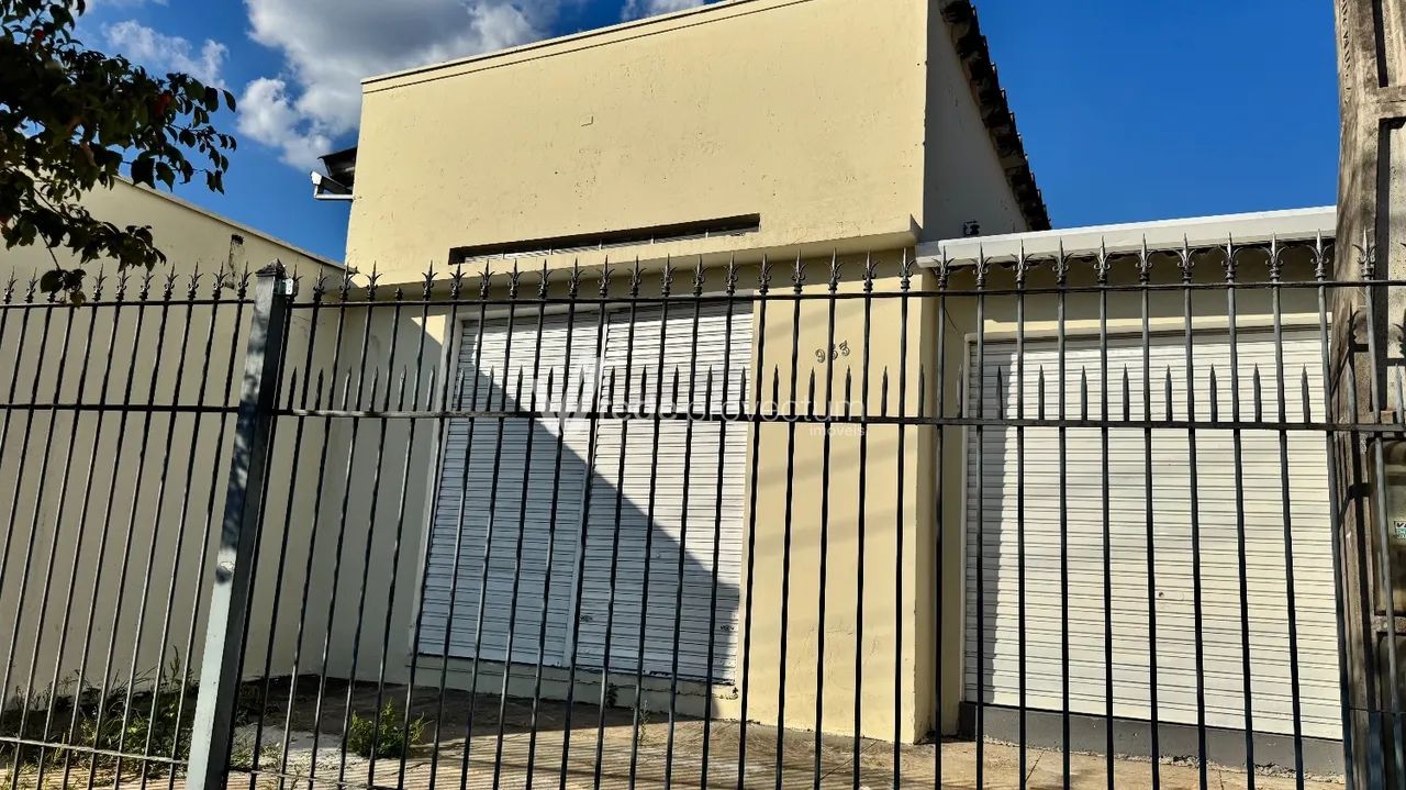 salão - Jardim Proença - Campinas - Foto 2