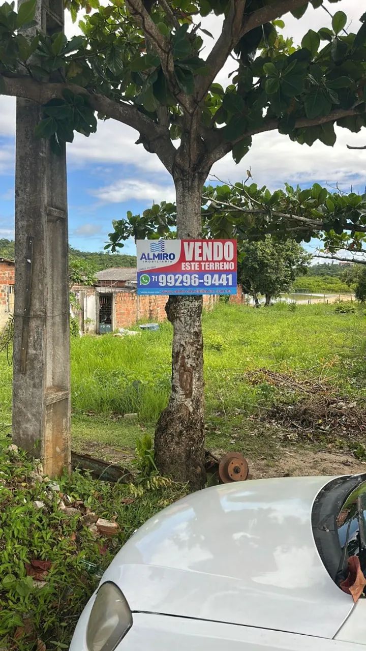 Lote com 650 m², em Itaparica. - Foto 3