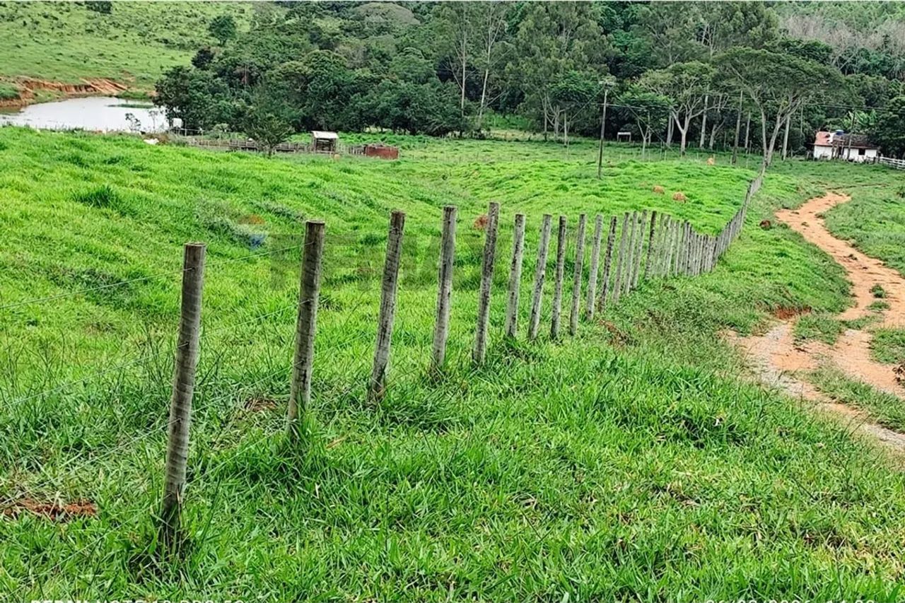 Fazenda dos Sonhos em MG: Propriedade à Venda! - Foto 5