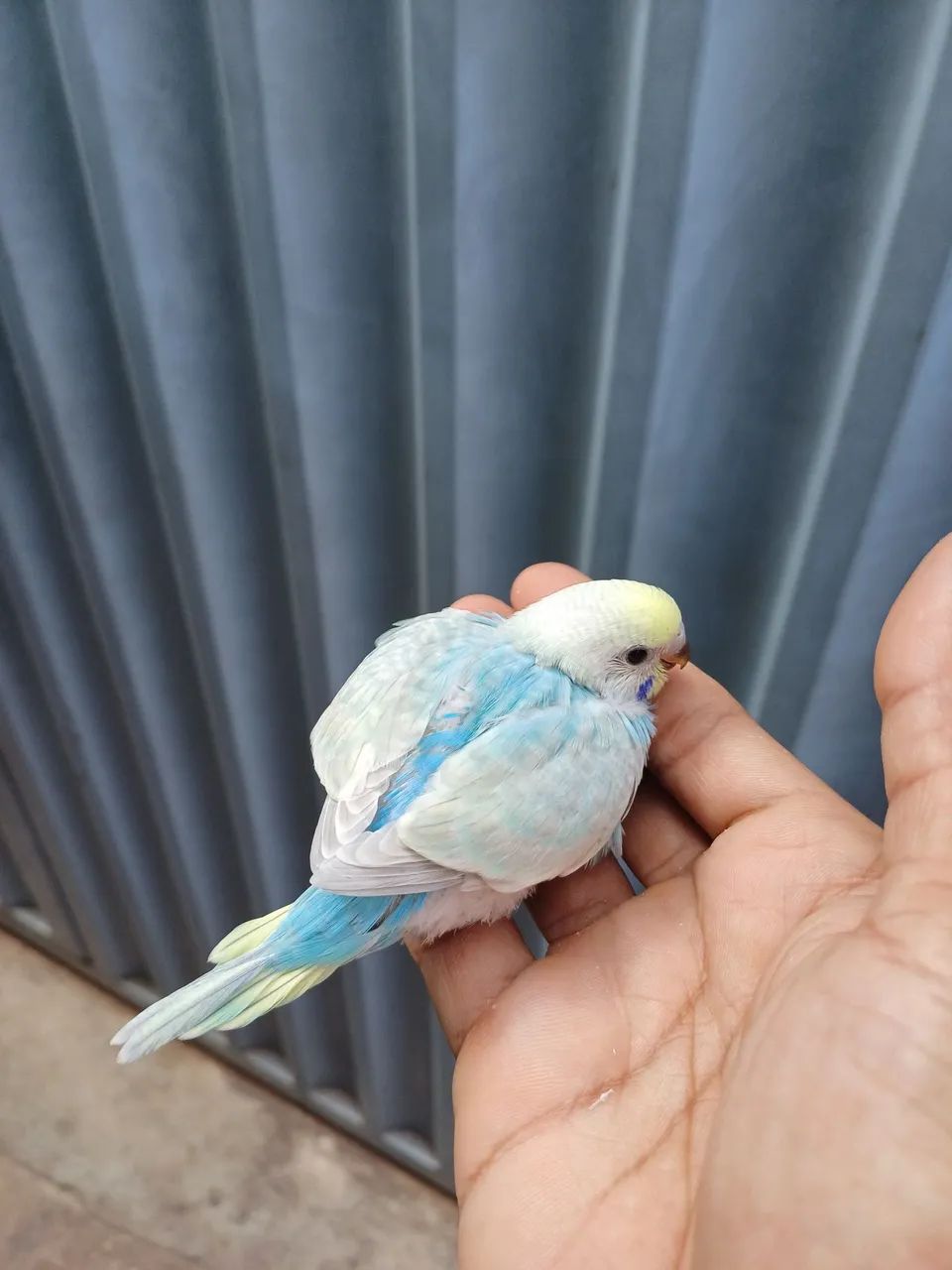 Vendo todos  - Foto 2