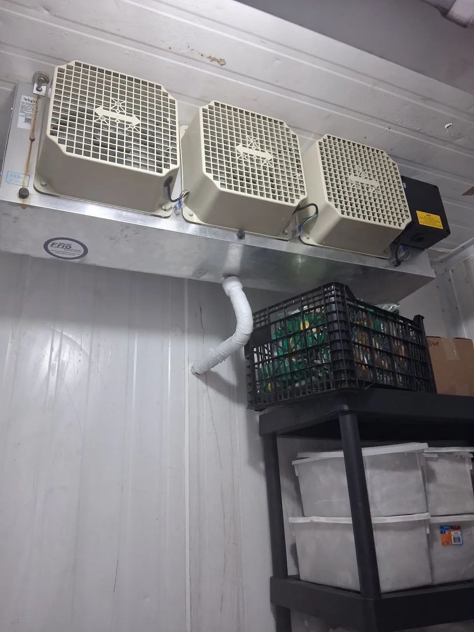 Câmara de congelados  - Foto 4