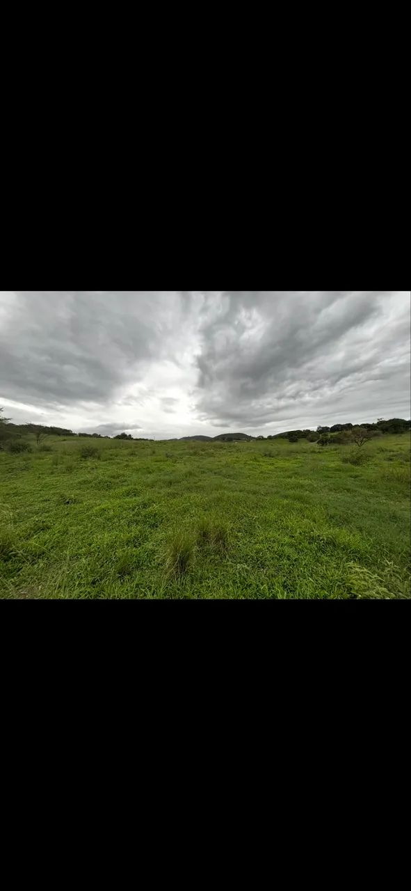 chácara 20x75 em Palmeira dos índios 1500m2  - Foto 4