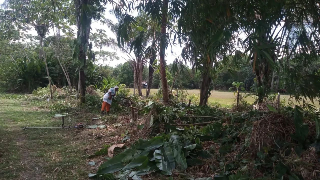 Terreno Abaetetuba - Ipixuna.  - Foto 4