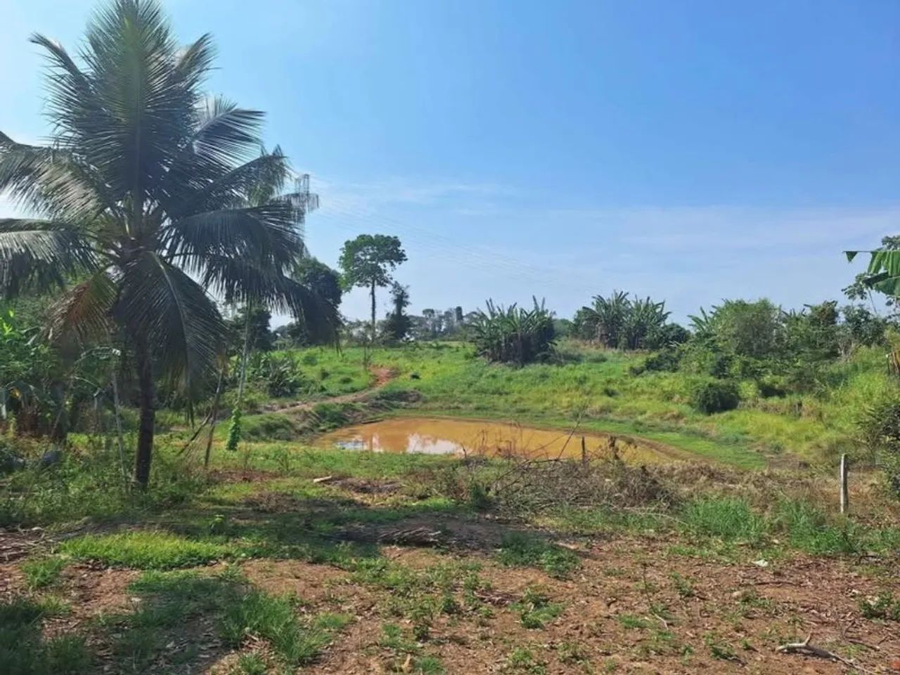 Chácara 12.5 hectare  - Foto 5