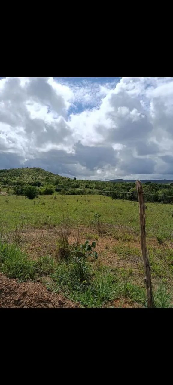 Vende-se sítio  - Foto 5